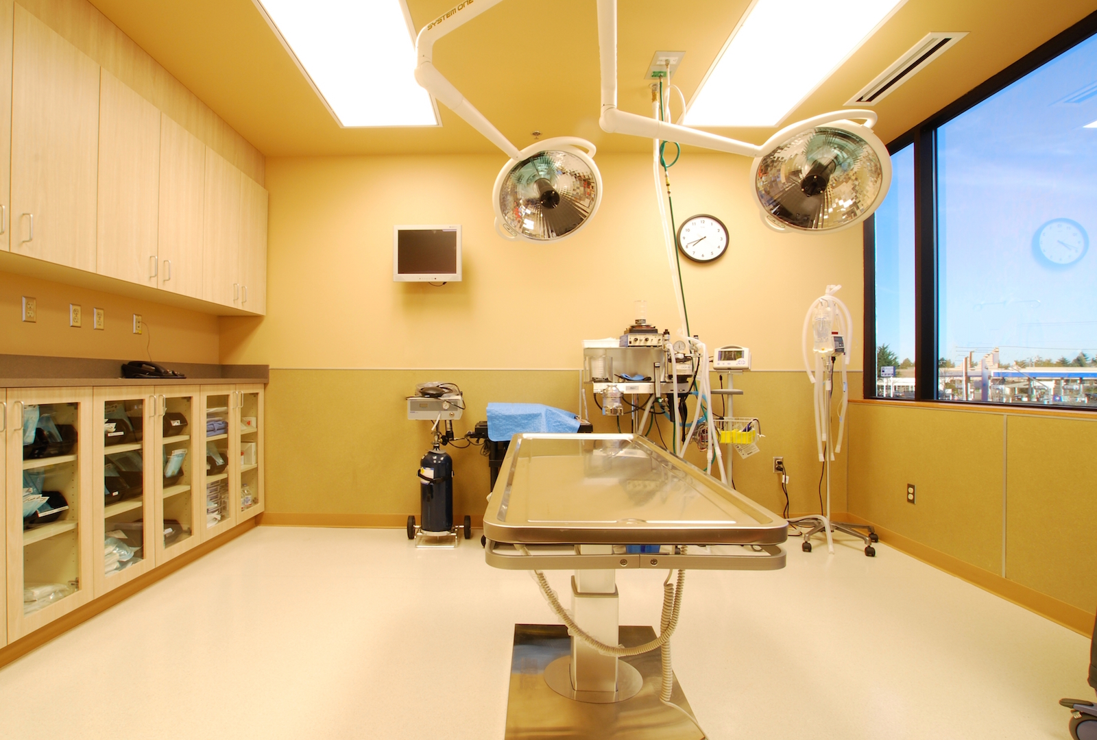 VCA Veterinary Clinic, Lynnwood Wilcox Construction