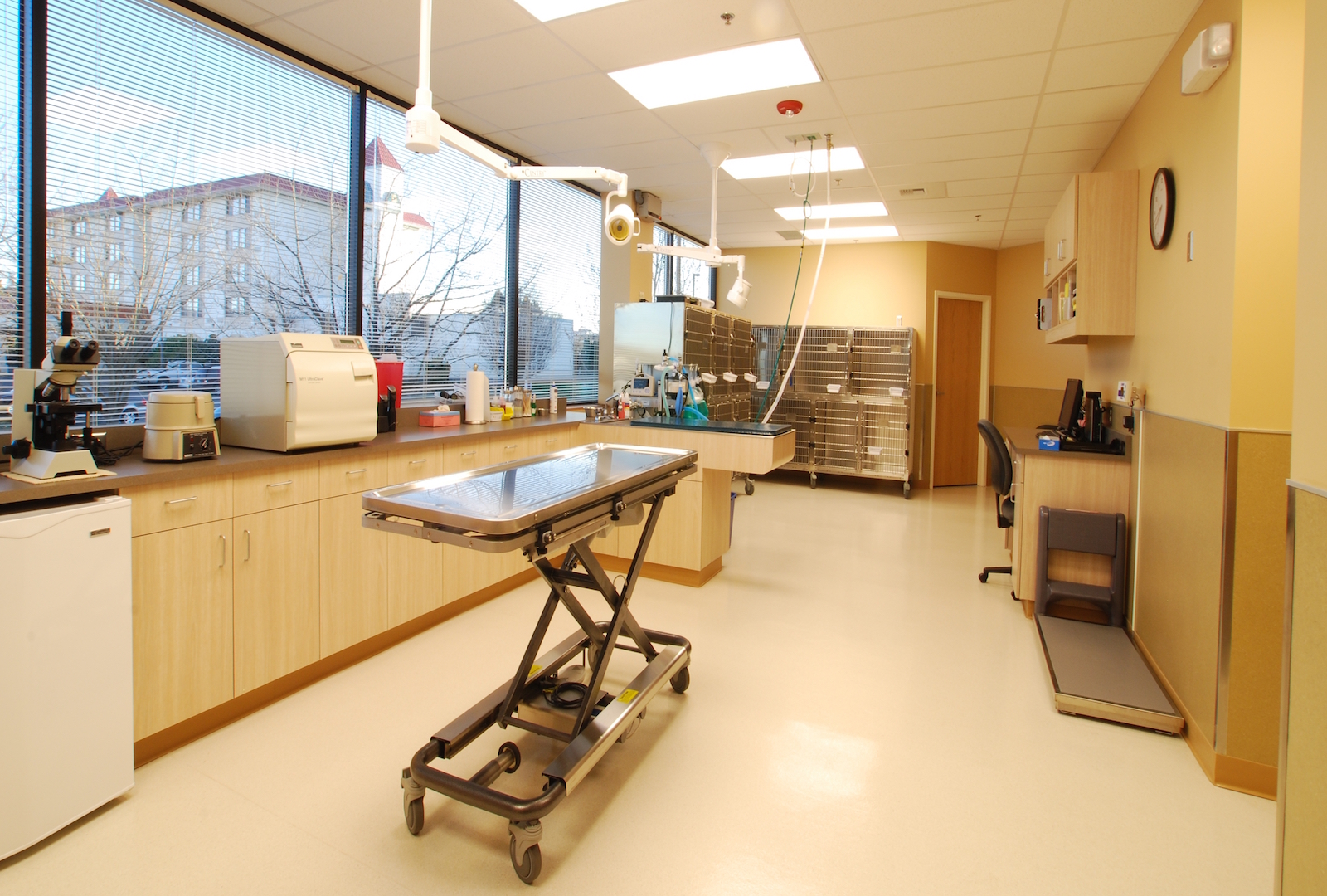 VCA Veterinary Clinic, Lynnwood Wilcox Construction
