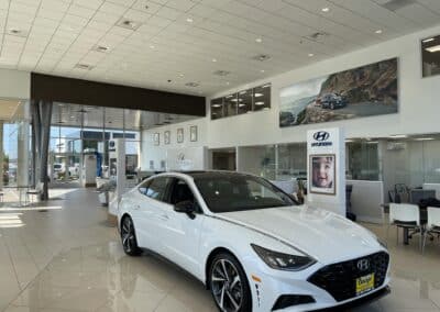 Dougs Hyundai Automotive Wilcox Construction 3